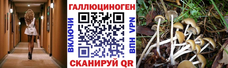 OMG как зайти Иланский Галлюциногенные грибы прущие грибы